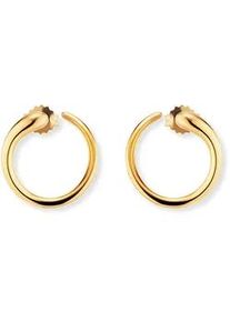 CAI Paar Creolen CA&Iuml; "925/-Sterling Silber vergoldet Tropfen", gelb, Ohrringe, Damen, one-size, Silber 925 (Sterlingsilber)