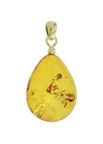 Kettenanh&auml;nger OSTSEE-SCHMUCK "- Tropfen flach, ca. 22 mm lang - Gold 333/000 - Bernstein -" Gr. 32, gold (gold 333, goldfarben, gelb), Schmuckanh&auml;nger, Damen, Bernstein, Kettenanh&auml;nger