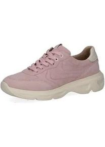 Sneaker Caprice "Caprice Sneaker Leder", Damen, Gr. 37, rose, Leder, Schuhe Sneaker