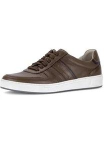Sneaker PIUS Gabor, Herren, Gr. 9 (43), cognacfarben, Nappaleder, Basic, Schuhe Sneaker, Freizeitschuh, Komfortschuh, Schn&uuml;rschuh mit Ziern&auml;hten, G-Weite
