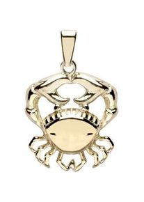 Kettenanh&auml;nger OSTSEE-SCHMUCK "- Tierkreiszeichen Krebs - Gold 333/000 -" Gr. 25, gold (gold 333, goldfarben, gelb), Schmuckanh&auml;nger, Damen, Gelbgold 333, Kettenanh&auml;nger