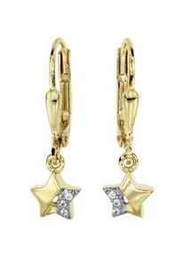 Paar Ohrh&auml;nger OSTSEE-SCHMUCK "- Stern - Gold 333/000 - Zirkonia" Gr. 22, gold (gold 333, goldfarben, gelb), Ohrringe, Damen, Gelbgold 333