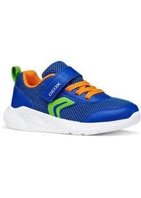 Sneaker Geox "J SPRINTYE BOY", Damen, Gr. 36, blau, orange, Lederimitat, Mesh, Schuhe Sneaker, Halbschuh mit bunten Bes&auml;tzen, Gr&ouml;&szlig;enschablone zum Download