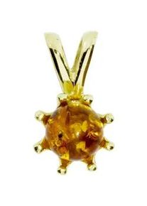 Kettenanh&auml;nger OSTSEE-SCHMUCK "- Ilke - Gold 333/000 - Bernstein" Gr. 14, gold (gold 333, goldfarben, gelb), Schmuckanh&auml;nger, Damen, Gelbgold 333, Kettenanh&auml;nger