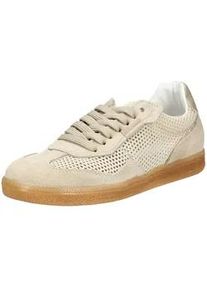 Sneaker Steve Madden "Steve Madden Sneaker Textil", Damen, Gr. 38, beige, Textil, Schuhe Sneaker