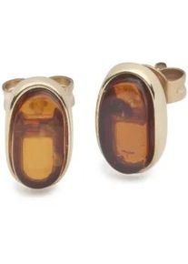 Paar Ohrstecker OSTSEE-SCHMUCK "- Classic 10 x 5 mm - Gold 333/000 - Bernstein" Gr. 11, gold (gold 333, goldfarben, gelb), Ohrringe, Damen, Gelbgold 333