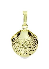 Kettenanh&auml;nger OSTSEE-SCHMUCK "- Muschel - Gold 333/000 - Zuchtperle" Gr. 21, gold (gold 333, goldfarben, gelb), Schmuckanh&auml;nger, Damen, Gelbgold 333, Kettenanh&auml;nger