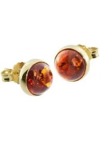 Paar Ohrstecker OSTSEE-SCHMUCK "- Classic 8 mm - Silber 925/000, vergoldet - Bernstein" Gr. 9, gold (goldfarben, gelb), Ohrringe, Damen, Silber 925 (Sterlingsilber)