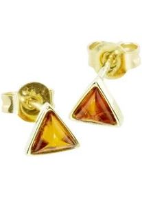 Paar Ohrstecker OSTSEE-SCHMUCK "- Classic 5x5x5 mm - Gold 585/000 - Bernstein" Gr. 5, gold (gold 585, goldfarben, gelb), Ohrringe, Damen, Gelbgold 585