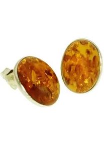 Paar Ohrstecker OSTSEE-SCHMUCK "- Classic 16x12 mm - Gold 333/000 - Bernstein" Gr. 16, gold (gold 333, goldfarben, gelb), Ohrringe, Damen, Gelbgold 333