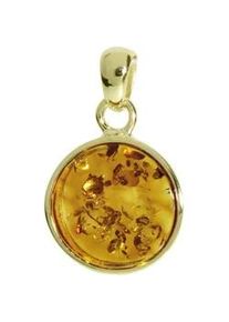 Kettenanh&auml;nger OSTSEE-SCHMUCK "- Classic 16 mm - Gold 333/000 - Bernstein" Gr. 29, gold (gold 333, goldfarben, gelb), Schmuckanh&auml;nger, Damen, Gelbgold 333, Kettenanh&auml;nger