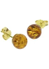 Paar Ohrstecker OSTSEE-SCHMUCK "- Kugel 8 mm - Gold 585/000 - Bernstein" Gr. 8, gold (gold 585, goldfarben, gelb), Ohrringe, Damen, Gelbgold 585