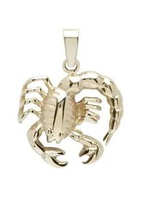 Kettenanh&auml;nger OSTSEE-SCHMUCK "- Tierkreiszeichen Skorpion - Gold 333/000 -" Gr. 25, gold (gold 333, goldfarben, gelb), Schmuckanh&auml;nger, Damen, Gelbgold 333, Kettenanh&auml;nger