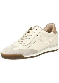 Sneaker Gabor "Gabor Sneaker Leder", Damen, Gr. 40,5, wei&szlig;, beige, Leder, Schuhe Sneaker