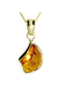 Kette und Anh&auml;nger Set OSTSEE-SCHMUCK "- Jula 23 mm - Gold 333/000 - Bernstein" Gr. 45, gold (gold 333, goldfarben, gelb), Schmuck_Sets, Damen, 45, Gelbgold 333