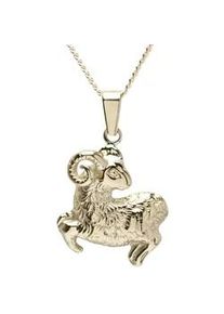 Kette und Anh&auml;nger Set OSTSEE-SCHMUCK "- Tierkreiszeichen Widder - Gold 333/000 -" Gr. 45, gold (gold 333, goldfarben, gelb), Schmuck_Sets, Damen, 45, Gelbgold 333