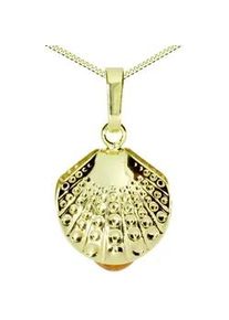 Kette und Anh&auml;nger Set OSTSEE-SCHMUCK "- Muschel - Gold 333/000 - Bernstein" Gr. 45, gold (gold 333, goldfarben, gelb), Schmuck_Sets, Damen, 45, Gelbgold 333