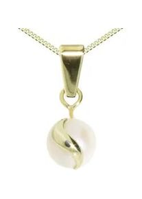 Kette und Anh&auml;nger Set OSTSEE-SCHMUCK "- Ina - Gold 333/000 - Zuchtperle" Gr. 42, gold (gold 333, goldfarben, gelb), Schmuck_Sets, Damen, 42, Gelbgold 333