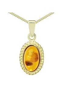 Kette und Anh&auml;nger Set OSTSEE-SCHMUCK "- Julie - Gold 333/000 - Bernstein" Gr. 45, gold (gold 333, goldfarben, gelb), Schmuck_Sets, Damen, 45, Gelbgold 333