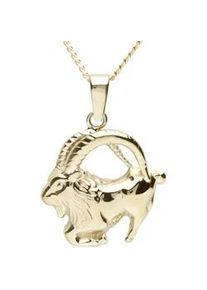 Kette und Anh&auml;nger Set OSTSEE-SCHMUCK "- Tierkreiszeichen Steinbock - Gold 333/000 -" Gr. 42, gold (gold 333, goldfarben, gelb), Schmuck_Sets, Damen, 42, Gelbgold 333