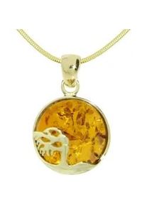Kette mit Anh&auml;nger OSTSEE-SCHMUCK "- Windfl&uuml;chter 16 mm - Silber 925/000, vergoldet - Bernstein" Gr. 42, gold (goldfarben, gelb), Schmuck_Sets, Damen, 42, Silber 925 (Sterlingsilber)