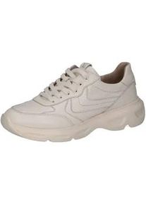 Sneaker Caprice "Caprice Sneaker Nappaleder", Damen, Gr. 41, vanilla, Nappaleder, Schuhe Sneaker