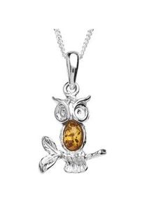 Kette mit Anh&auml;nger OSTSEE-SCHMUCK "- Eule - Silber 925/000 - Bernstein" Gr. 50, silber (silber 925, silberfarben, wei&szlig;), Schmuck_Sets, Damen, 50, Silber 925 (Sterlingsilber)