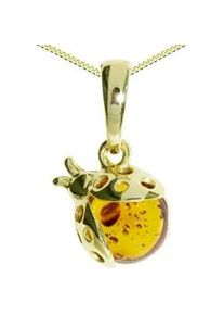 Kette mit Anh&auml;nger OSTSEE-SCHMUCK "- Marienk&auml;fer - Silber 925/000, vergoldet - Bernstein" Gr. 40, gold (goldfarben, gelb), Schmuck_Sets, Damen, 40, Silber 925 (Sterlingsilber)