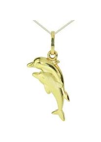 Kette und Anh&auml;nger Set OSTSEE-SCHMUCK "- Delphinpaar - Gold 333/000 -" Gr. 45, gold (gold 333, goldfarben, gelb), Schmuck_Sets, Damen, 45, Gelbgold 333