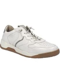 Sneaker Josef Seibel "Arleen 02, weiss-champagner", Damen, Gr. 38, wei&szlig; (wei&szlig;, champagner), Obermaterial: 100% Rindsleder Leather cow., Schuhe Sneaker