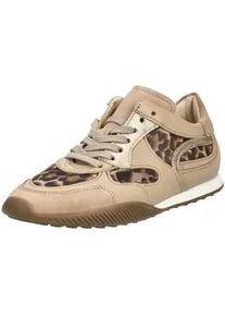 Sneaker Gabor "Gabor Sneaker Leder", Damen, Gr. 37,5, sand, Leder, Schuhe Sneaker