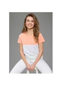 T-Shirt Kangaroos, Damen, Gr. 32/34, apricot, wei&szlig;, blau, Single Jersey, Obermaterial: 100% Baumwolle, figurumspielend h&uuml;ftlang, Rundhals, Shirts T-Shirt, im Colorblock-Design