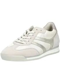 Sneaker Gabor "Gabor Sneaker Veloursleder/Textil", Damen, Gr. 39, wei&szlig;, Textil, Veloursleder, Schuhe Sneaker