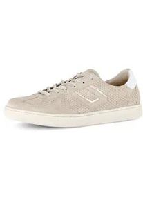 Sneaker Gabor "DAVOS", Damen, Gr. 36, beige, Nappaleder, Veloursleder, Schuhe Sneaker, Freizeitschuh, Halbschuh, Schn&uuml;rschuh mit Lochmuster, Weite H
