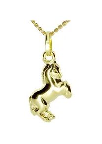 Kette und Anh&auml;nger Set OSTSEE-SCHMUCK "- Pferd - Gold 333/000 -" Gr. 42, gold (gold 333, goldfarben, gelb), Schmuck_Sets, Damen, 42, Gelbgold 333