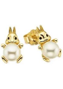 Paar Ohrstecker Firetti "H&auml;schen Silber gelbgoldfarben vergoldet", gelbgoldfarben, wei&szlig;, Ohrringe, Damen, 5mm, Hase, Perlen Silber 925 (Sterlingsilber), Perlen, Silber 925 (Sterlingsilber), mit Muschelkernperle (synth.)