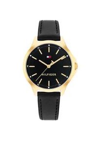Quarzuhr Tommy Hilfiger "CHLOE", schwarz, goldfarben, Armbanduhren, Damen, Quarzuhr, Armbanduhr, Damenuhr, Lederarmband, analog