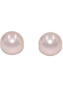 Paar Ohrstecker Firetti "Schmuck Geschenk Silber 925 Ohrschmuck Ohrringe", silberfarben, champagner, Ohrringe, Damen, 14mm, Perlen Silber 925 (Sterlingsilber), Perlen, Silber 925 (Sterlingsilber), Made in Germany - mit Muschelkernperle