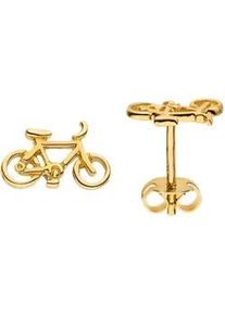 Paar Ohrstecker Jobo "Kleine Ohrringe Fahrrad Rennrad 9 mm", gelbgold 333, Ohrringe, Damen, Gelbgold 333, 8 Karat 333 Gold