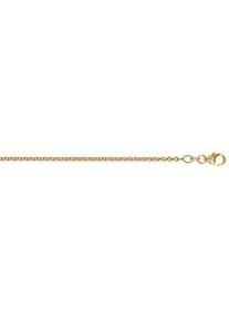 Goldkette ONE ELEMENT "Halskette Rundankerkette aus 333 Gelbgold &Oslash; 2 mm" Gr. 50, gold, Halsketten, Damen, 50, Gelbgold 333 Gold, Gelbgold 333, Gold, Goldkette, Fein gearbeitet &ndash; angenehm zu tragen und vielseitig kombinierbar