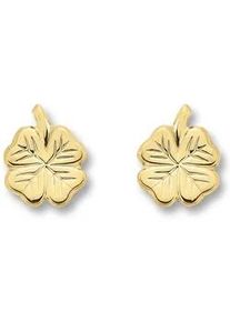Paar Ohrh&auml;nger ONE ELEMENT "Kleeblatt Ohrringe Ohrstecker aus 333 Gelbgold", gold, Ohrringe, Damen, Damen, Gelbgold 333 Gold, Gelbgold 333, Gold, Dezente Symbolik &ndash; stilvoller Begleiter f&uuml;r jeden Anlass