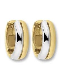 Paar Creolen ONE ELEMENT "Ohrringe Creolen aus 333 Gelbgold", gold, Ohrringe, Damen, Damen, Gelbgold 333 Gold, Gelbgold 333, Gold, Harmonisch gestaltet &ndash; ruhiges Design mit feinem Ausdruck