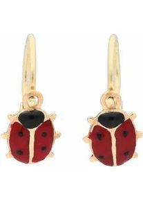 Paar Ohrh&auml;nger Firetti "Schmuck Geschenk Silber 925 Ohrschmuck Patentbrisur Marienk&auml;fer", bunt (silber, 925, goldfarben, rot, schwarz), Ohrringe, Jungen, Silber 925 (Sterlingsilber)