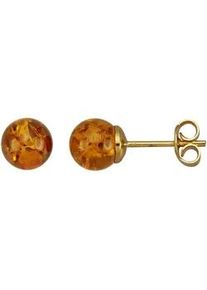 Paar Ohrstecker Firetti "Schmuck Geschenk Silber 925 Ohrschmuck Ohrringe", orange (gelbgoldfarben, bernsteinfarben, bernsteinfarben), Ohrringe, Damen, 7mm, Silber 925 (Sterlingsilber), mit Bernstein