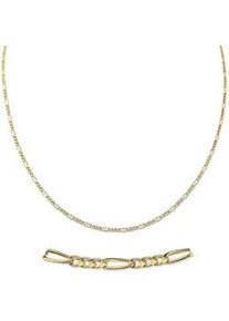 Collierkettchen Firetti "Schmuck Geschenk Gold 333 oder 585 Figarokettengl. in mehreren Breiten" Gr. 45, gold (gelbgoldfarben), Halsketten, Damen, 45, Gelbgold 333, B: 2,6mm, Made in Germany, B:2,6mm