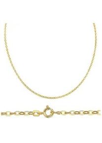 Collierkettchen Firetti "Schmuck Geschenk Gold 333 oder 585 Ankerkettengliederung 2,6 mm breit" Gr. 45, gold (gelbgoldfarben), Halsketten, Damen, 45, Gelbgold 585, B: 2,6mm, Made in Germany, B:2,6mm