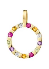 Kettenanh&auml;nger Firetti "Schmuck Geschenk Gold 333 Halsschmuck Anh&auml;nger Kreis rund", gelbgoldfarben, gelb, rot, lila, hellblau, hellgr&uuml;n, gelb, rot, lila, hellblau, hellgr&uuml;n, Schmuckanh&auml;nger, Damen, Gelbgold 333, 1,5 g, Kettenanh&auml;nger, mit Edelsteinen