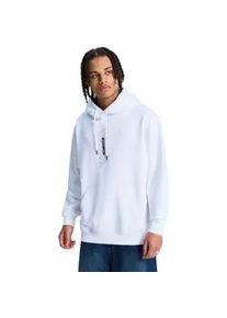 Kapuzensweatshirt DC Shoes "DC Omega", Herren, Gr. S, wei&szlig;, Obermaterial: 80% Walkfrottier, 20% Microfaser;, Sweatshirts