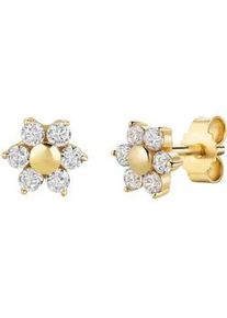 Paar Ohrstecker Firetti "Schmuck Geschenk Gold 333 Ohrschmuck Ohrringe Blume", gelbgoldfarben, kristallwei&szlig;, kristallwei&szlig;, Ohrringe, Damen, 7mm, Gelbgold 333, mit Zirkonia (synth.)