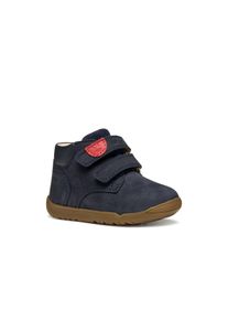 Lauflernschuh Geox "B MACCHIA BOY", Jungen, Gr. 18, blau (navy), Leder, Schuhe Lauflernschuh, Babyschuh mit Klettverschluss, Gr&ouml;&szlig;enschablone zum Download
